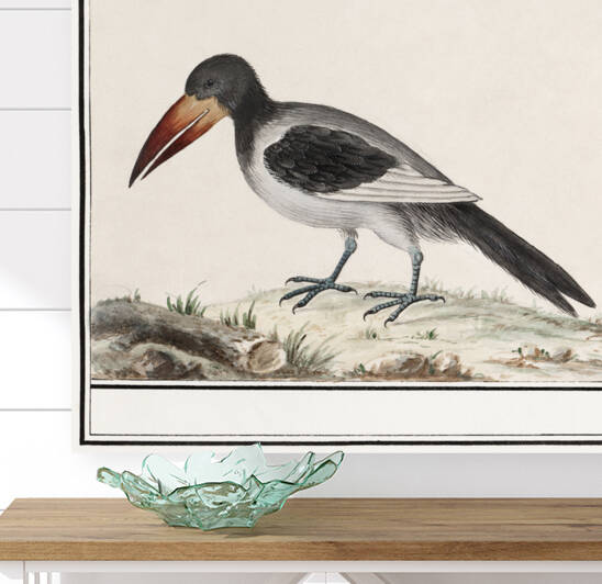 Unknown bird in vintage style by IStockHistory com