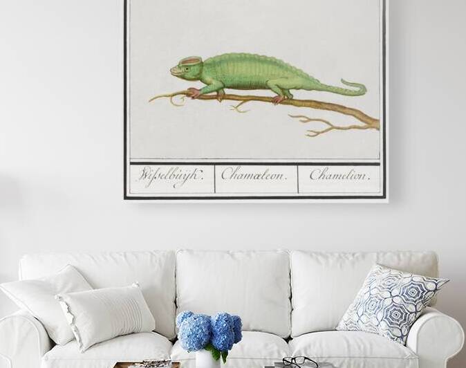 Chameleon in vintage style by IStockHistory com