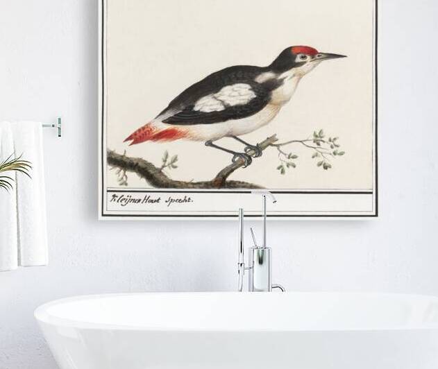 Lesser spotted woodpecker in vintage style by IStockHistory com
