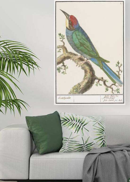 European bee eater in vintage style by IStockHistory com