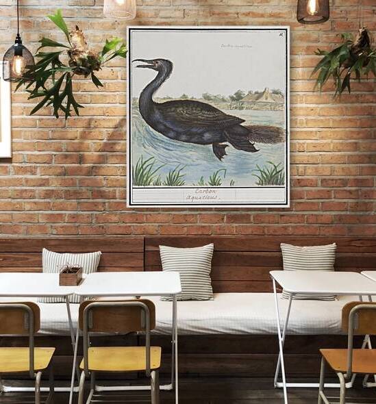 Cormorant in vintage style by IStockHistory com