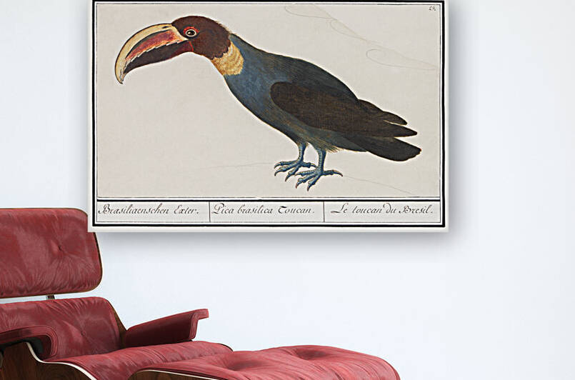 Redshank in vintage style by IStockHistory com