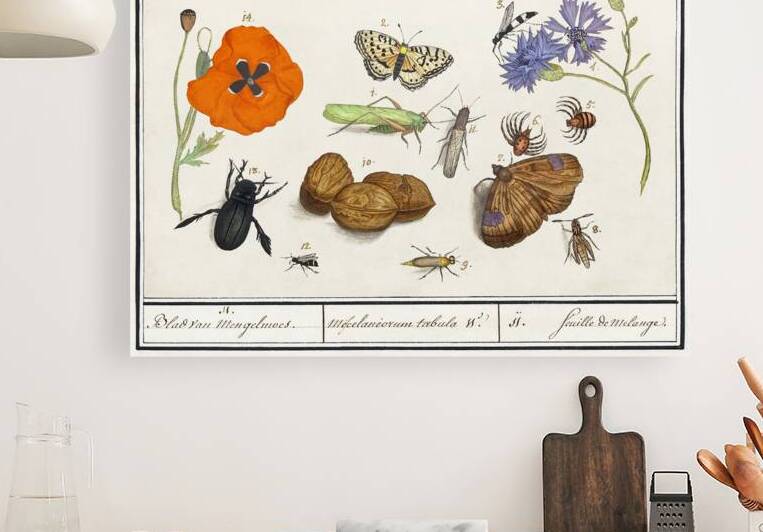 Wallcreeper in vintage style by IStockHistory com