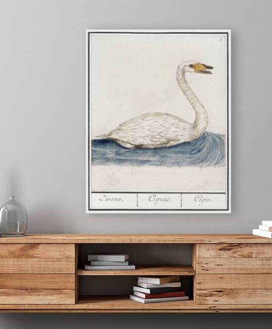 Wild swan in vintage style by IStockHistory com