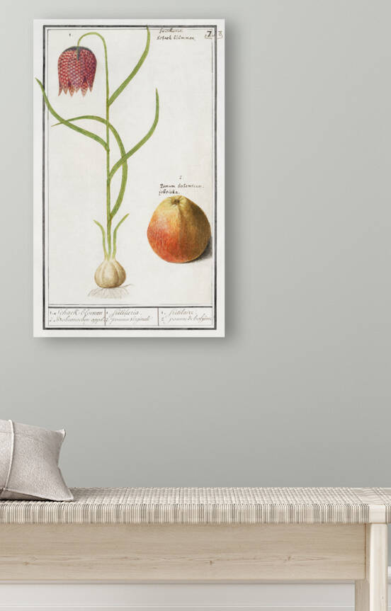 Snakes head flower and apple by IStockHistory com