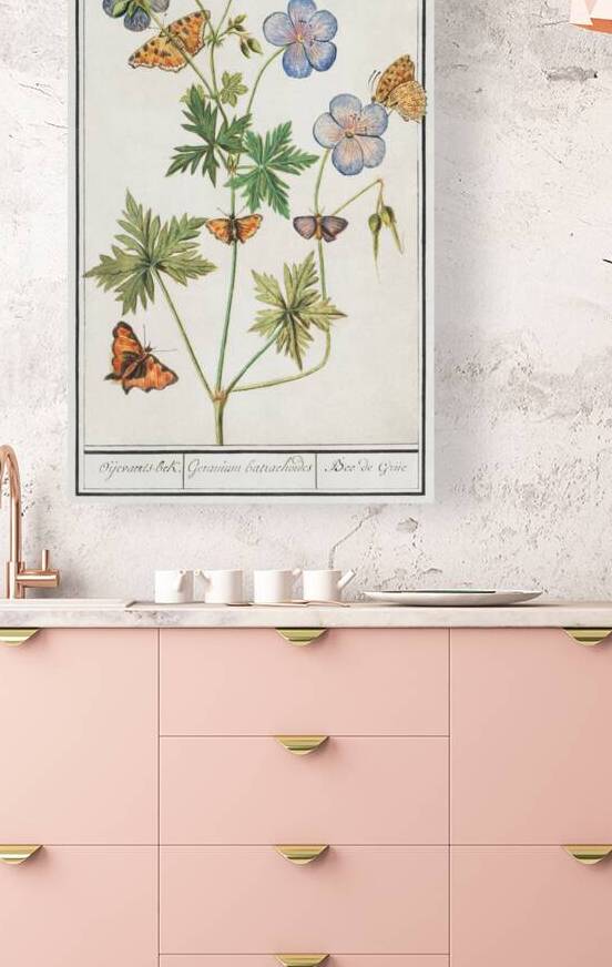 Storksbills and butterflies by IStockHistory com