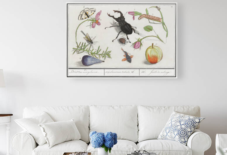 Nature ensemble in vintage style by IStockHistory com