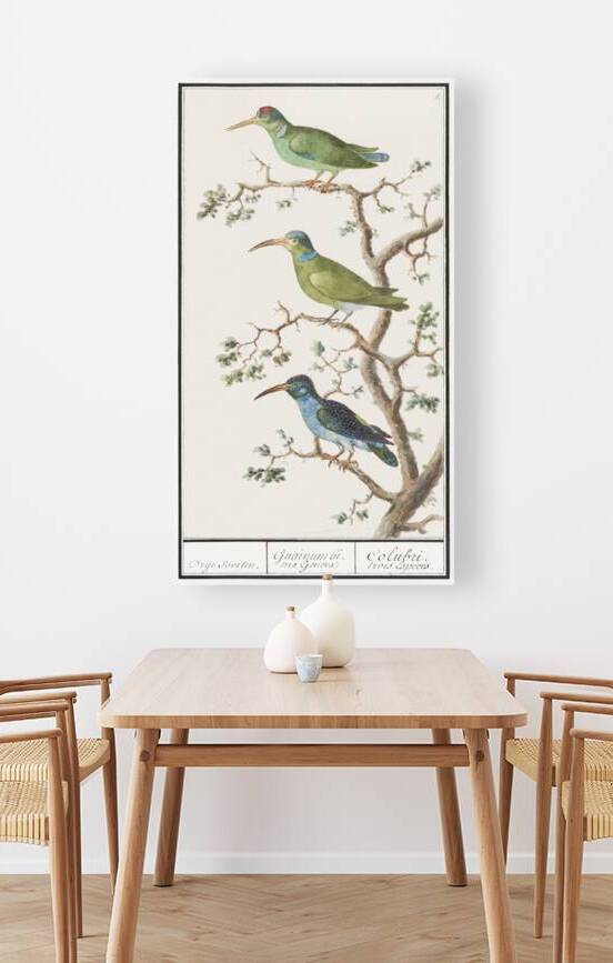 Sunbirds in vintage style by IStockHistory com
