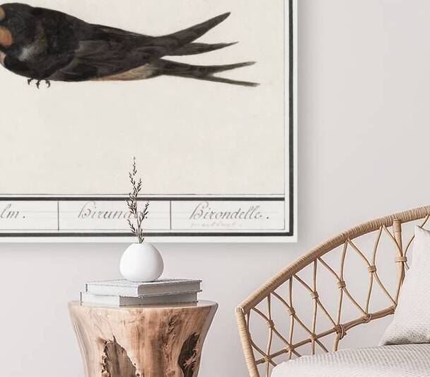 Barn swallow in vintage style by IStockHistory com