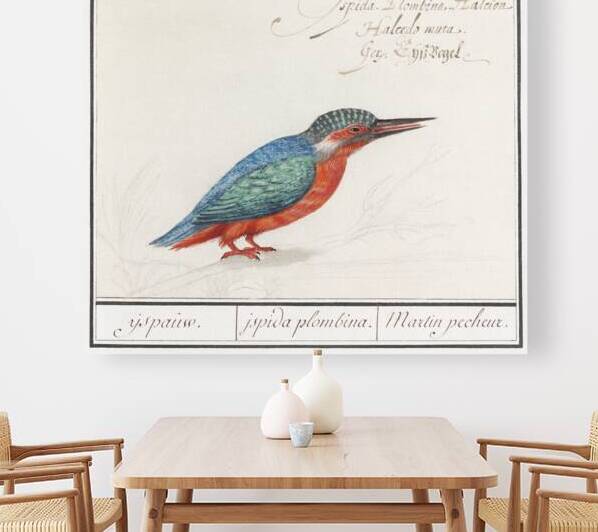 Kingfisher in vintage style by IStockHistory com