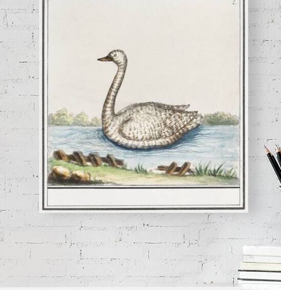 Swan in vintage style by IStockHistory com