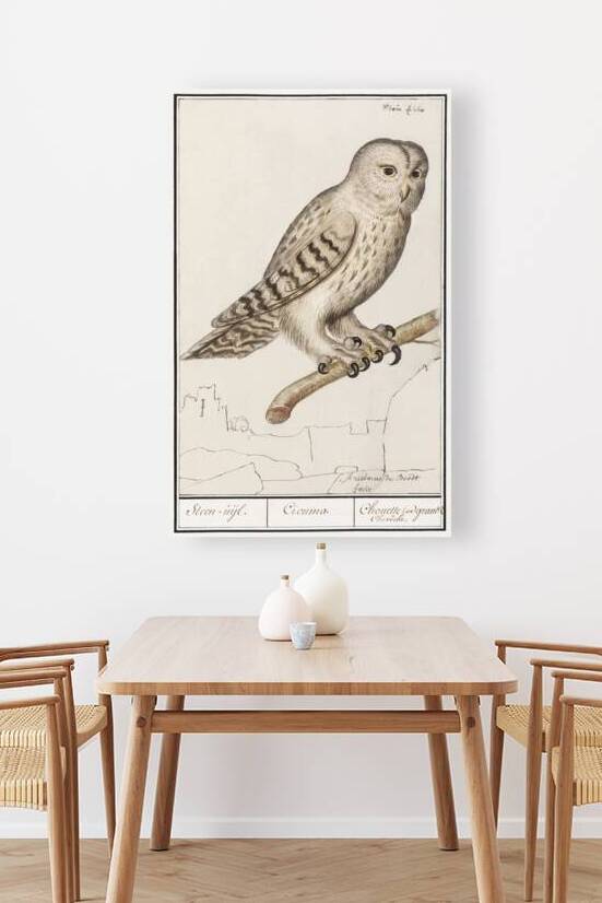 European green woodpecker in vintage style by IStockHistory com