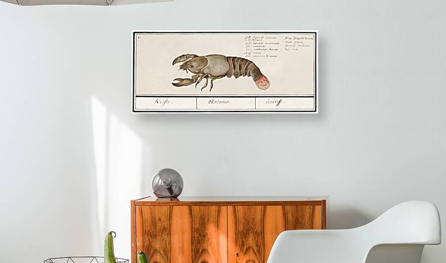 Lobster in vintage style by IStockHistory com