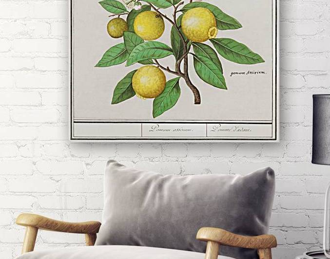 Lemon in vintage style by IStockHistory com