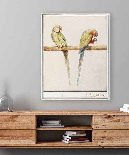 Parakeets in vintage style by IStockHistory com