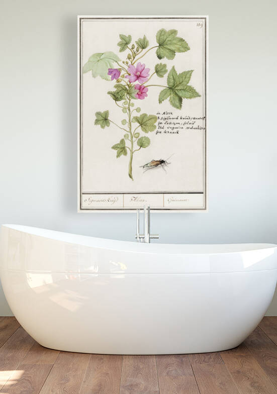 Tulip in vintage style by IStockHistory com