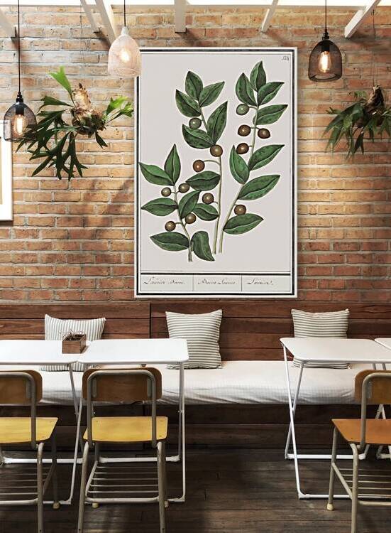 Olive in vintage style by IStockHistory com