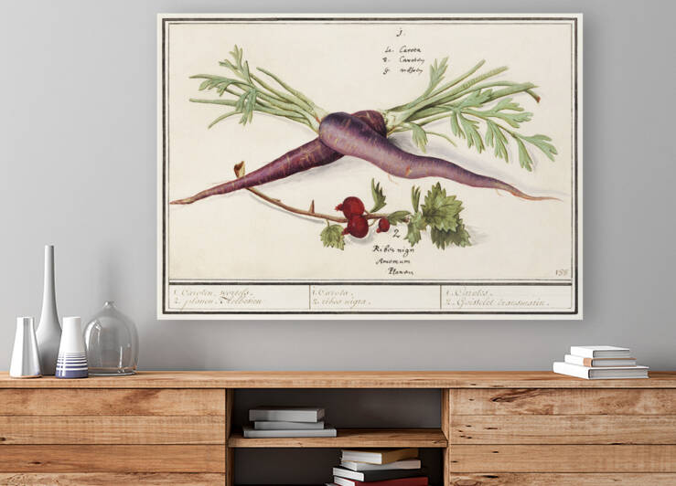 Carrot and red currant in vintage style by IStockHistory com