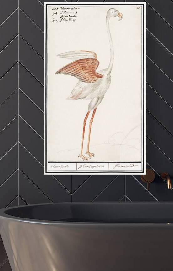 Flamingo in vintage style by IStockHistory com