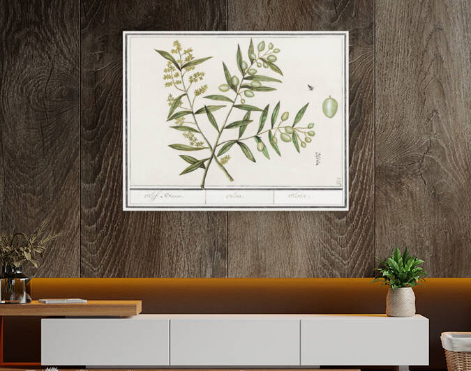 Olive in vintage style by IStockHistory com