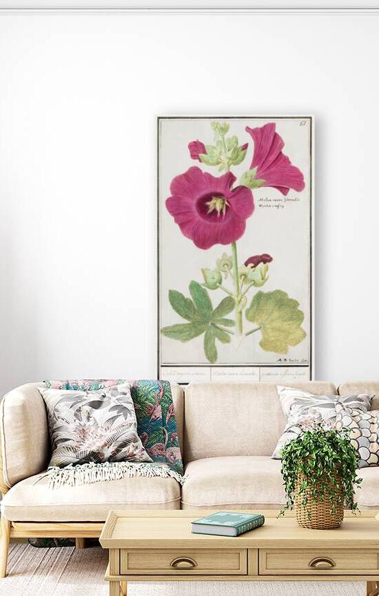 Alcea in vintage style by IStockHistory com