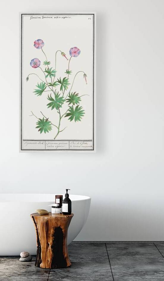 Geranium in vintage style by IStockHistory com