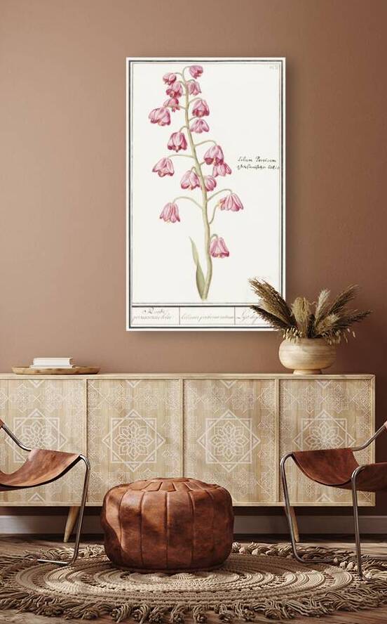 Cabbage in vintage style by IStockHistory com