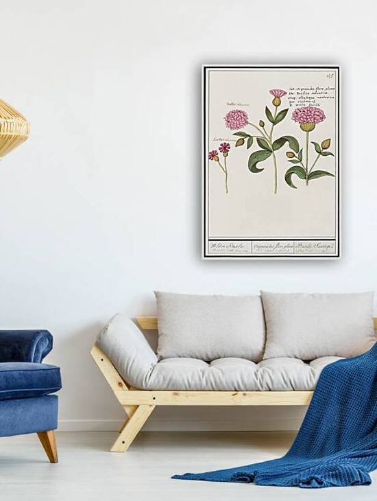 Orange daylily in vintage style by IStockHistory com