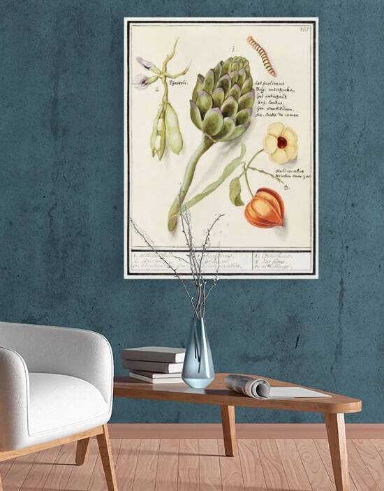 Artichoke broad beans and Chinese lantern by IStockHistory com