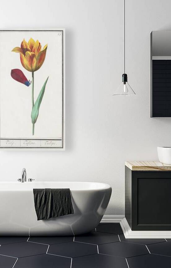 Tulip in vintage style by IStockHistory com