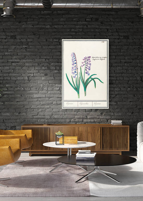 Hyacinth in vintage style by IStockHistory com