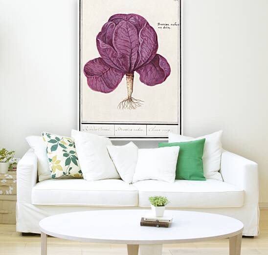 Red cabbage in vintage style by IStockHistory com