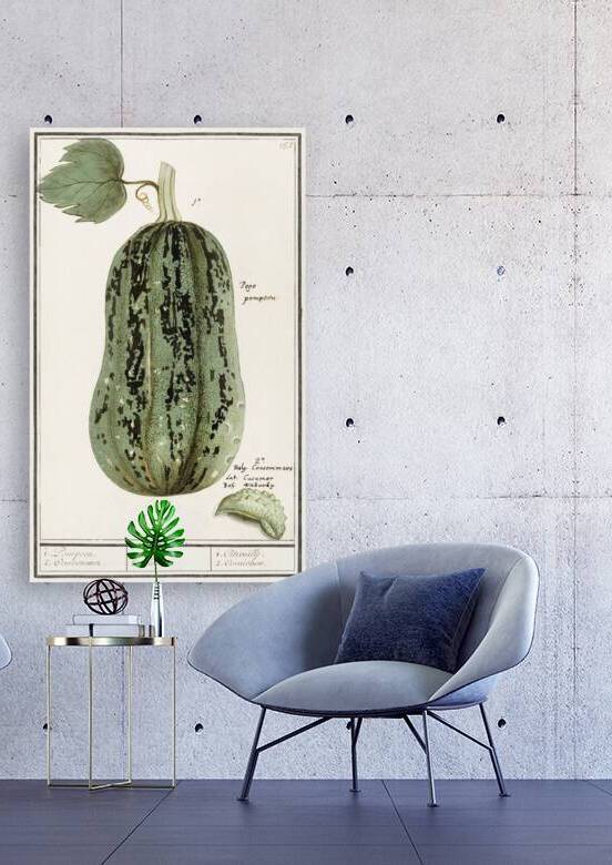 White cabbage in vintage style by IStockHistory com