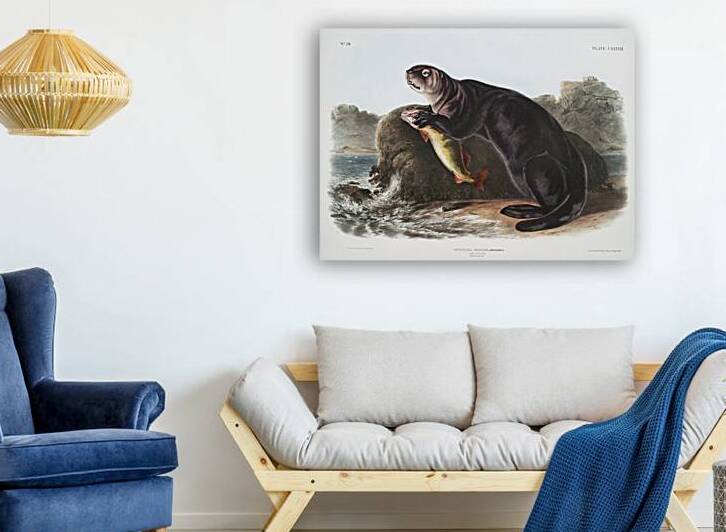 Sea Otter Enhydra marina  by IStockHistory com