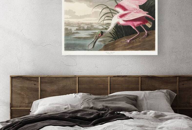 Roseate Spoonbill by IStockHistory com