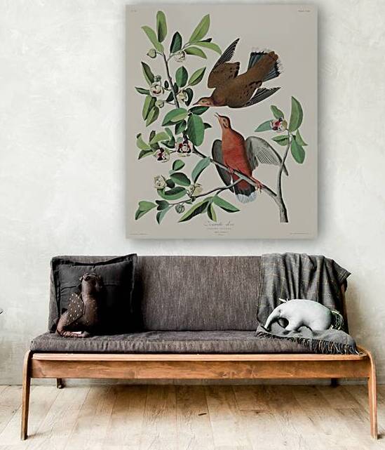 Lenaida Dove by IStockHistory com