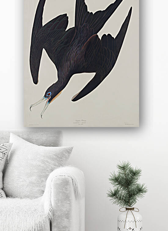 Chestnut-sided Warbler by IStockHistory com