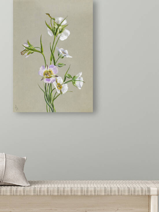 On the Road to Monument 1881 by IStockHistory com