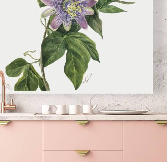 Flower Study 1879 by IStockHistory com