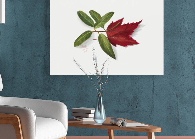 Autumn Leaves 1874 by IStockHistory com