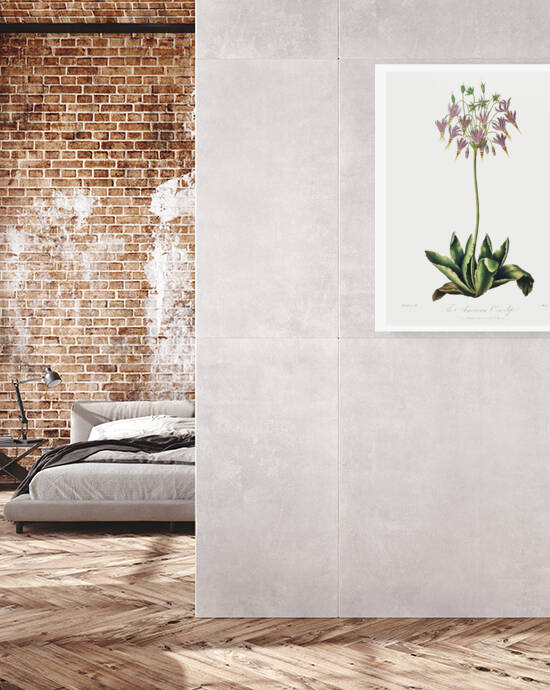 The American Cowslip by IStockHistory com