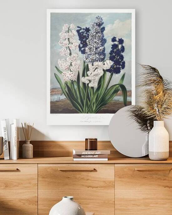 The Narrow–Leaved Kalmia by IStockHistory com