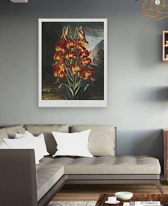 The Superb Lily by IStockHistory com