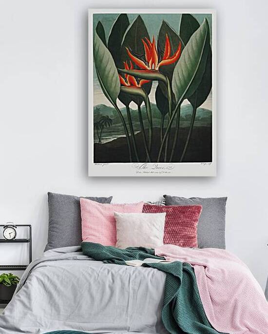 The Queen–Plant  by IStockHistory com