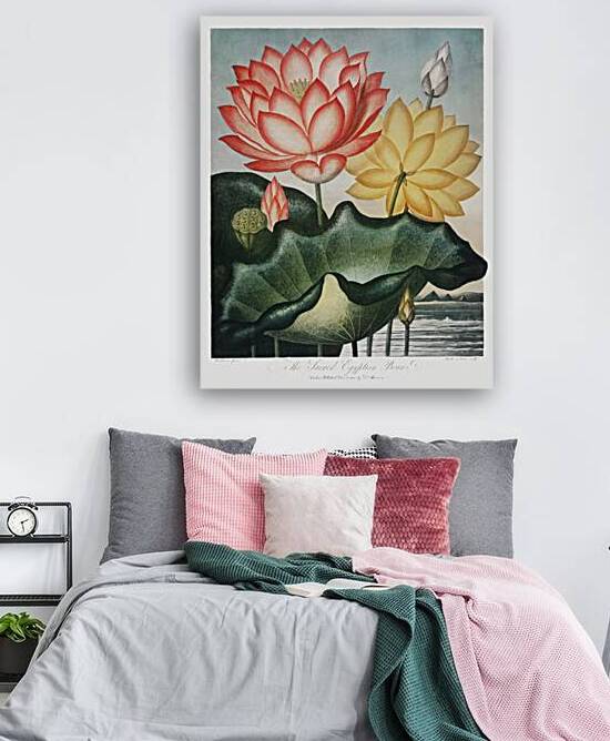 The Sacred Egyptian Bean by IStockHistory com