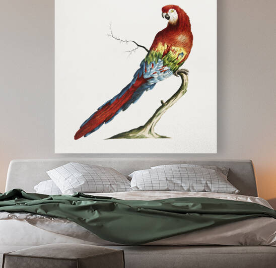 Pappagallo verde del Brasile col capo giallo e fronte celeste Parrot by IStockHistory com