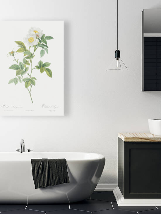 Vintage red rose by IStockHistory com