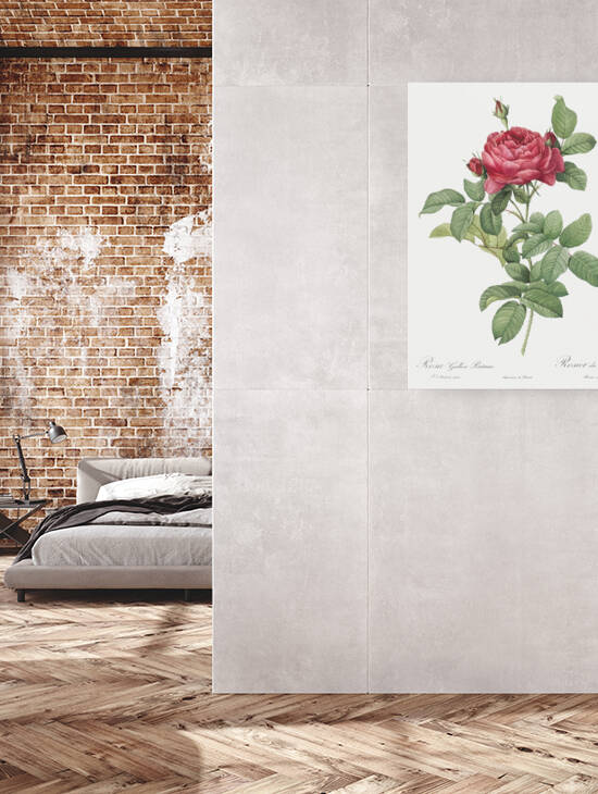 Red gallic rose by IStockHistory com