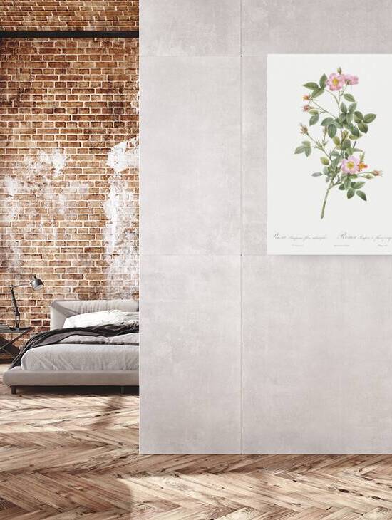 Speckled provins rose by IStockHistory com