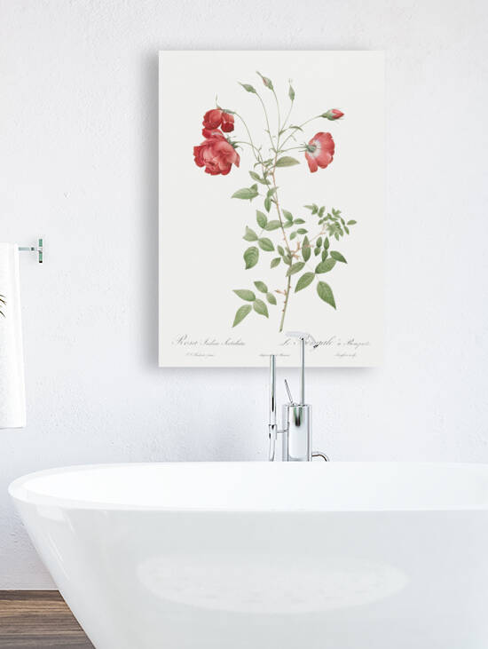 Vintage red rose by IStockHistory com